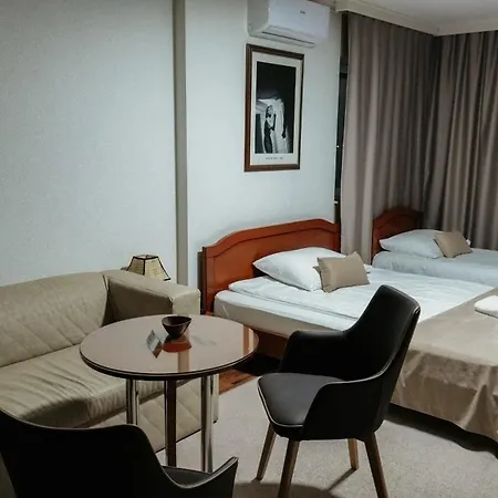 New Milenium Hotel 3*